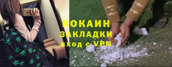тгк Алзамай