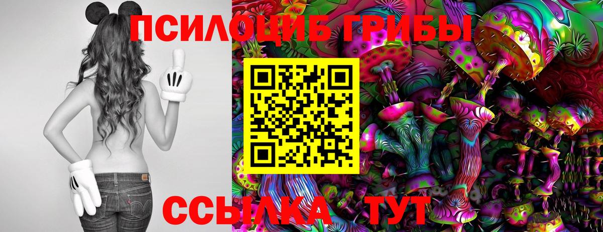 Псилоцибиновые грибы GOLDEN TEACHER Алексин