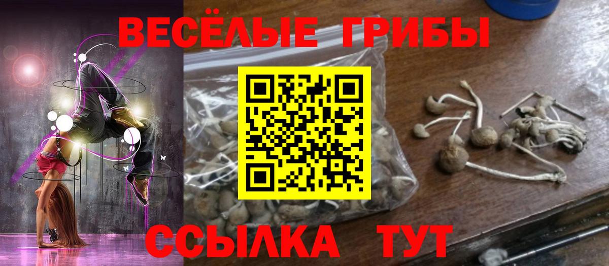 Галлюциногенные грибы MAGIC MUSHROOMS  Псилоцибиновые грибы ЛСД  Алексин  Вход с VPN 
