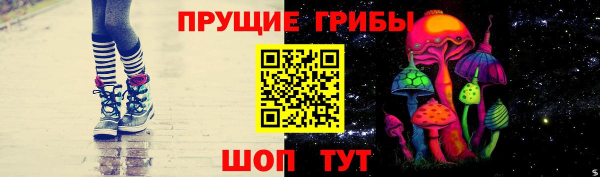 Псилоцибиновые грибы мицелий  Алексин  Псилоцибиновые грибы GOLDEN TEACHER 